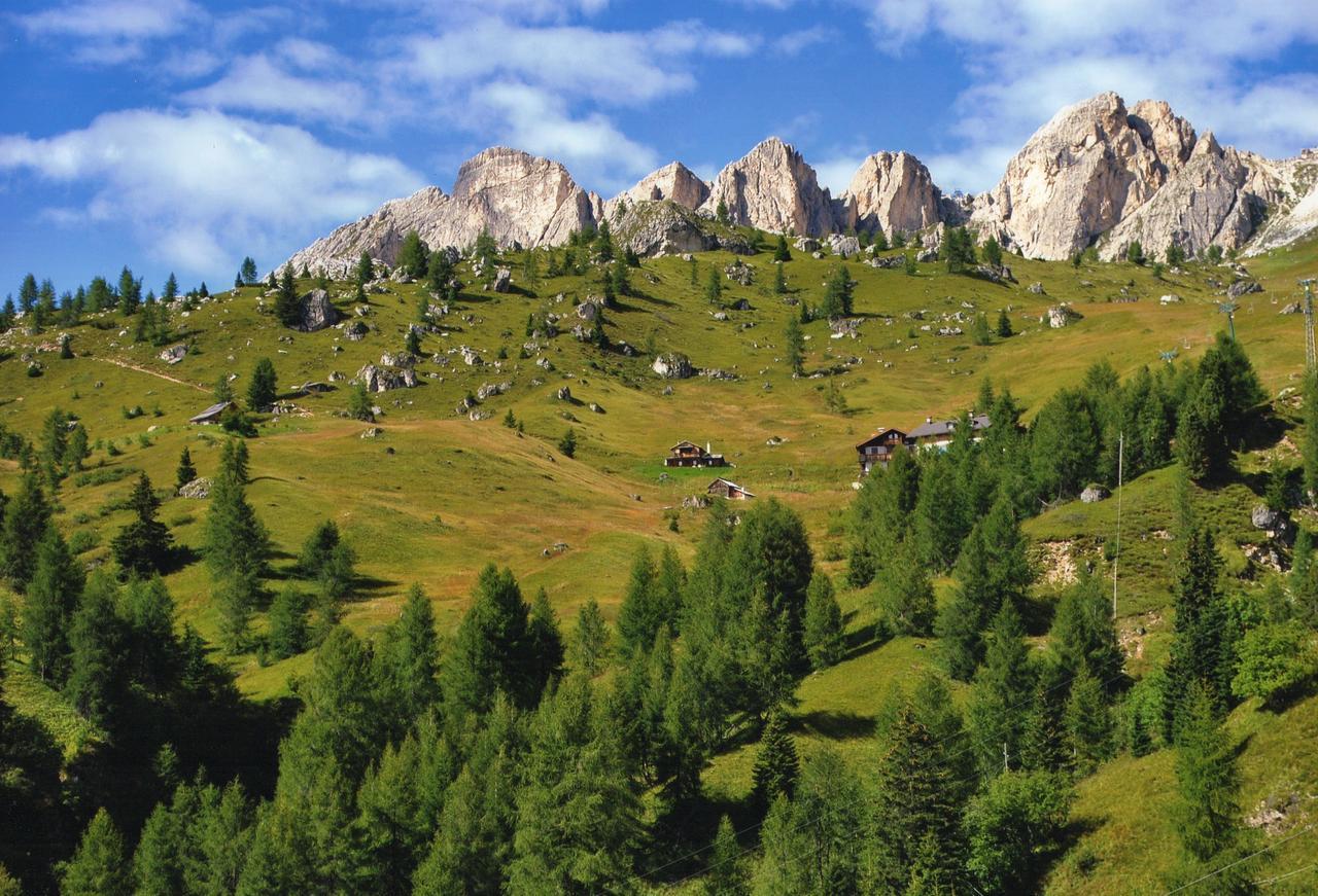 Quels sont les meilleurs hôtels près de Museo Vittorino Cazzetta ? Selva di Cadore Extérieur photo