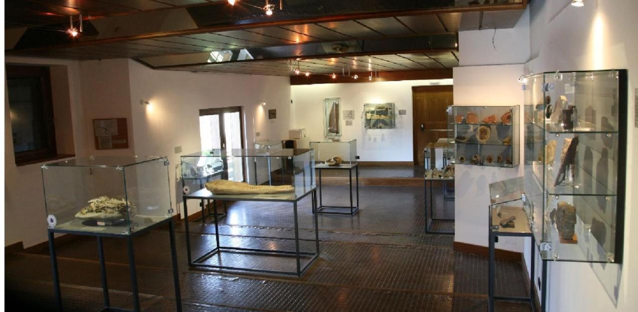 Quels sont les meilleurs hôtels près de Museo Vittorino Cazzetta ? Selva di Cadore Extérieur photo